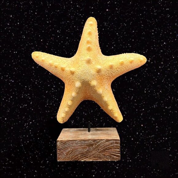 Starfish on Faux Wood Sculpture Figurine Large Wide 11”t 8”w - Picture 1 of 9